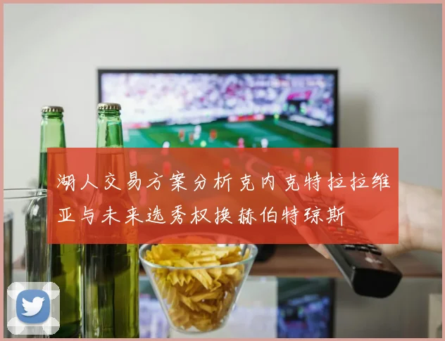 湖人交易方案分析克内克特拉拉维亚与未来选秀权换赫伯特琼斯