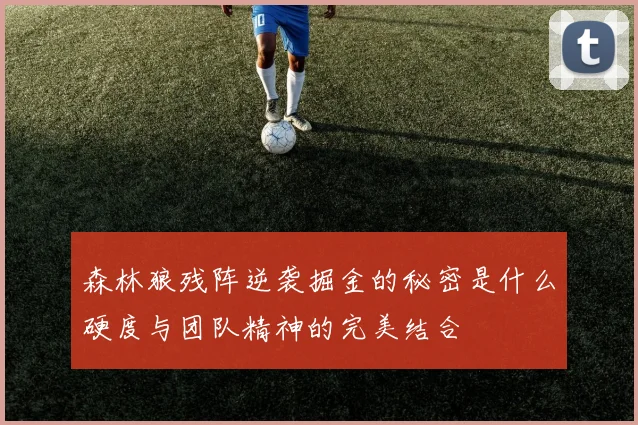 森林狼残阵逆袭掘金的秘密是什么硬度与团队精神的完美结合